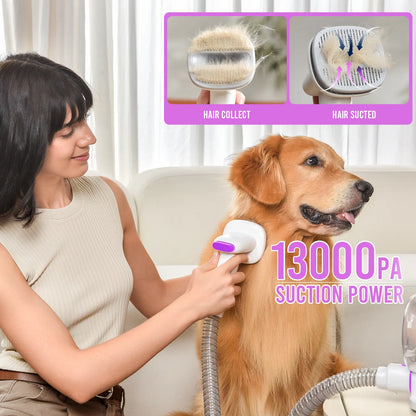 Geoorood Dog Grooming Vacuum Kit, 13KPa Pet Hair Suction Brush, 2.5L Large Dust Cup, Stainless Steel Blades, Portable Pet Cleaning Set